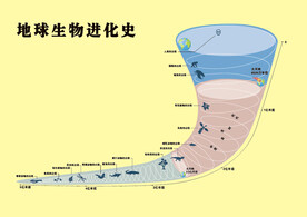 地球生物进化螺旋时间轴