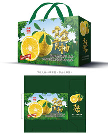 黄金贡柚包装