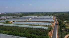 航拍农村大棚农田