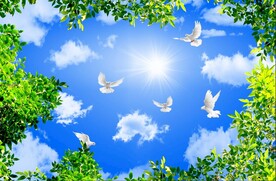 蓝天白云绿叶鸽子