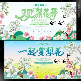 梨花节