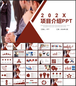 项目介绍工作总结汇报PPT模板