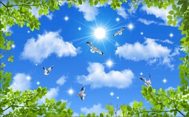 蓝天白云绿叶鸽子