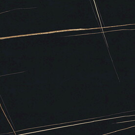 黑金花 金龙黑高清瓷砖设计