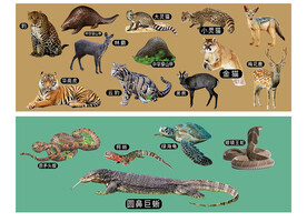 广东省珍稀野生动物