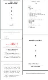 道路运输许可证一类申报资料