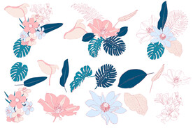 手绘 植物 花卉 