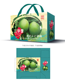 三华李包装 