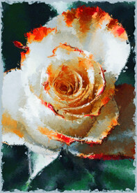 50X70厘米版画素材粉色花朵