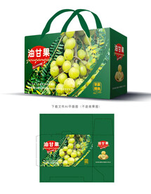 油甘果包装 