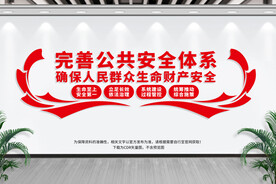 完善公共安全体系