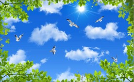 蓝天白云绿叶鸽子