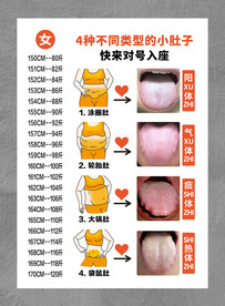 四种不同类型的小肚子
