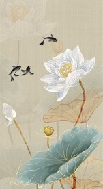 荷花玄关