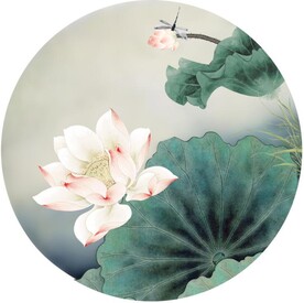 荷花水草蜻蜓圆分层