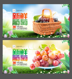 葡萄海报