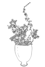 手绘插花艺术矢量线稿