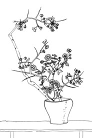 手绘插花艺术矢量线稿