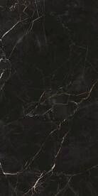 黑金花 金龙黑高清瓷砖设计