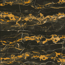 黑金花 金龙黑高清瓷砖设计