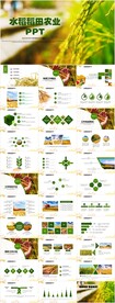 水稻农田绿洲大米PPT模板农业