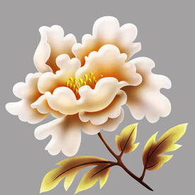 高清分层手绘牡丹花