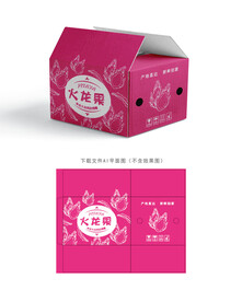 火龙果快递箱 