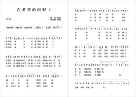 在希望的田野上