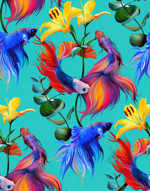 炫彩梦幻彩色金鱼