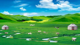 呼伦贝尔大草原