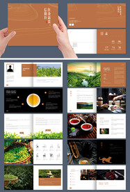 中国风红茶宣传画册