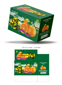 伦晚脐橙包装 