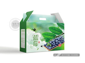 蓝莓包装 平面图