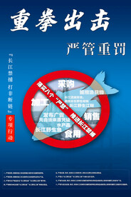 禁止捕鱼 野生动物保护长江流域