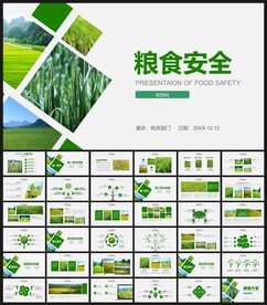 小麦水稻种植粮食安全PPT