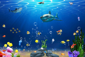 海洋生物