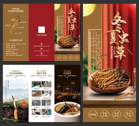 冬虫夏草促销宣传三折页