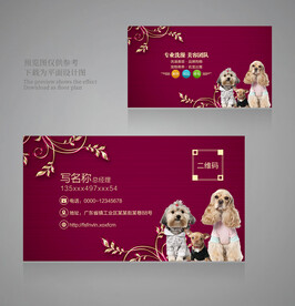 宠物卡片