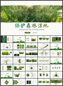 湿地生态环境保护森林PPT