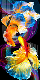 时尚孔雀鱼斗鱼轻奢玄关装饰画