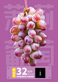 茉莉香葡萄