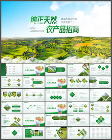 农业农产品土特产招商宣传PPT