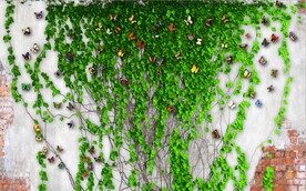 欧美风砖墙爬山虎电视背景墙