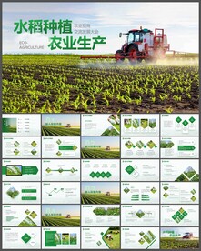 水稻农田绿洲大米农业PPT模板