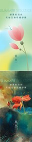  夏至海报 