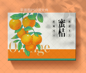 手绘桔子包装设计
