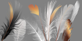 轻奢装饰画 羽毛