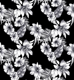 大牌花    黑白花