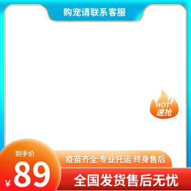 宠物主图蓝色主图简约主图