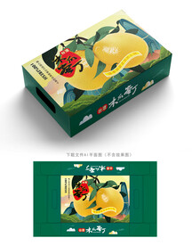 木瓜蜜丁包装 